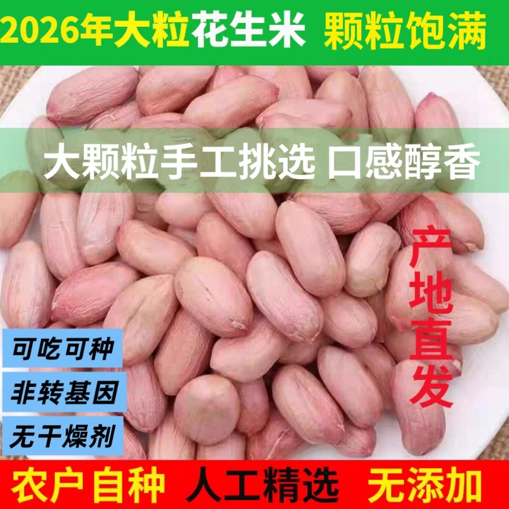 花生米生的2026年新花生米当季新货河南大颗粒生花生米商用批发