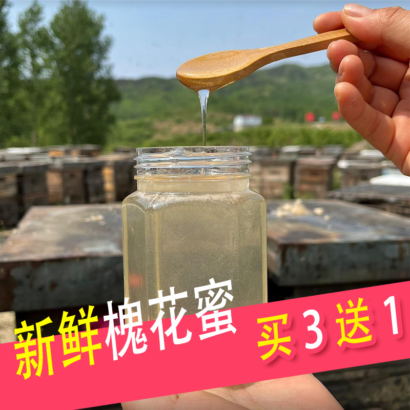 天然洋槐花蜂蜜成熟蜜天然农家自产500g 包邮，买三送一