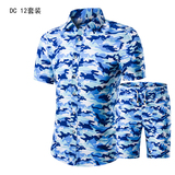 DC12套装
