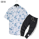 1508-CS18+K522-P45外贸欧美跨境现货短袖衬衫套装夏威夷沙滩衬衣，男装T恤，星座1508-1