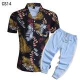 1508-CS14+K522-P45外贸欧美跨境现货短袖衬衫套装夏威夷沙滩衬衣，男装T恤，星座1508-1