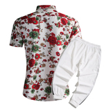 1508-CS09+K522-P45外贸欧美跨境现货短袖衬衫套装夏威夷沙滩衬衣，男装T恤，星座1508-1