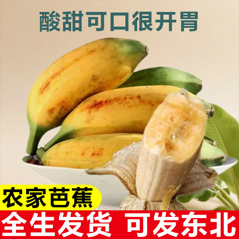 广东大芭蕉大蕉新鲜酸甜香蕉水果野生大牛角蕉自然熟巴蕉东北包邮