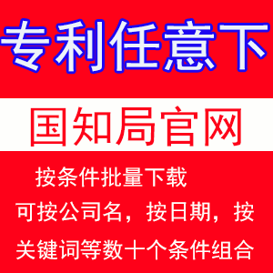 专利下载 查询 批量下载 按条件组合查询国知局专利查询更准确