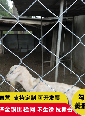 热镀锌铁丝网围栏防护网勾花网钢丝网养殖猪牛羊栏网果园围护栏网