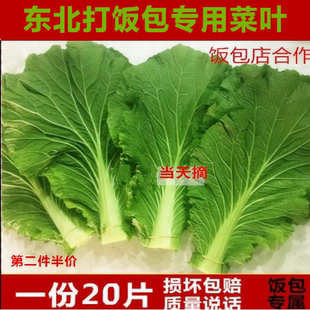 东北新鲜大白菜叶白菜叶蔬菜白菜叶打饭包菜叶打菜包饭免运费包邮