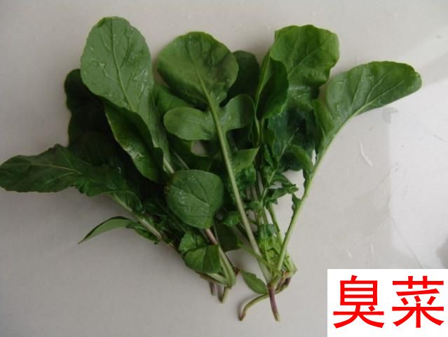 臭菜东北包邮新鲜 500g农家自种新鲜蔬菜臭菜大叶梗东北蘸酱菜