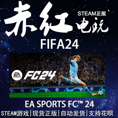 STEAMFIFA24足球体育