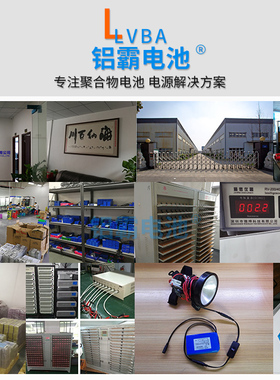 乐德电池数码动力电芯电池订做3.7V7.4V11.V12V14.8V24V电池组