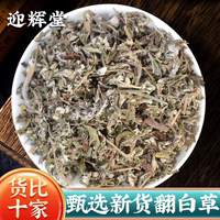 翻白草500g翻白草正品番白草新鲜干货泡茶另搭地骨皮非中药材