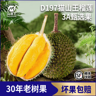 马莲王正宗马来西亚猫山王D197包5房液氮锁鲜坏果包赔产地溯源