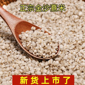 金沙小薏米仁新鲜小薏仁米薏苡仁 药用 福建意米煲汤 四果汤