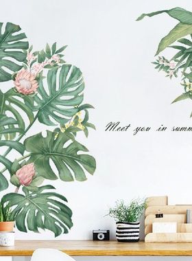 速发Cro-borrer wa stieds Turtle-baed b erge