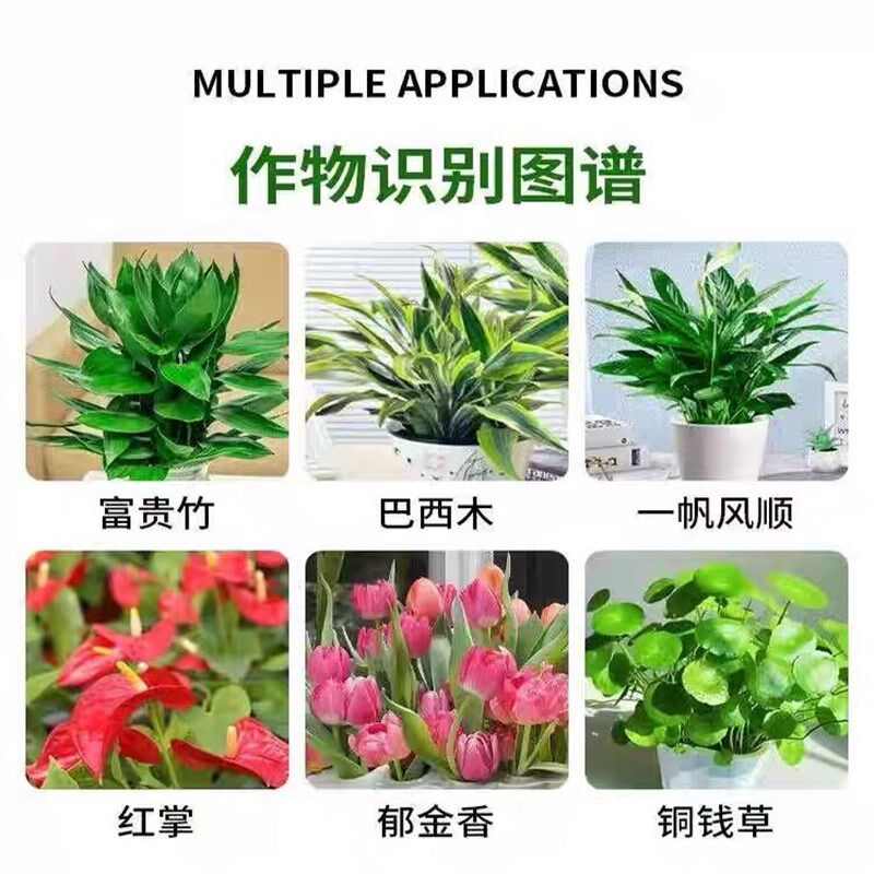 速发水培植物营养液植物通用型水仙花绿萝发财树睡莲碗莲富贵竹专