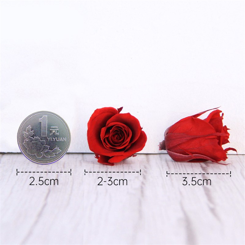 速发厂头厂家玫瑰永生花家2-cm2人朵情1节花束花材真花保