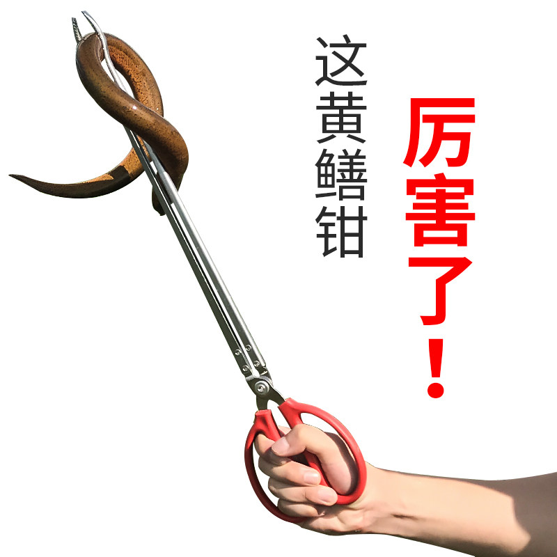 速发黄鳝夹鳝子防控鱼器泥鳅螃蟹夹子钳鱼钳滑夹鱼神器捉鱼器抓捕