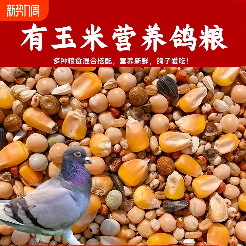 速发鸽子饲料粮食无玉米幼鸽粮信鸽元宝鸽鸟食赛鸽营养10斤包邮混