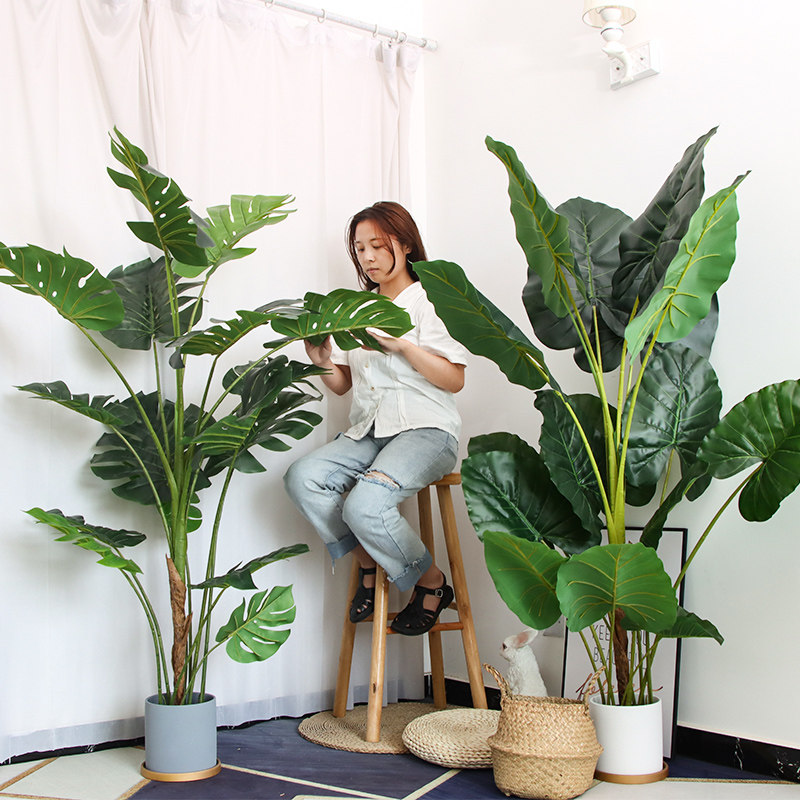 速发植物景盆防真花客厅花假树装饰室内绿件大型摆植滴水观音盆栽