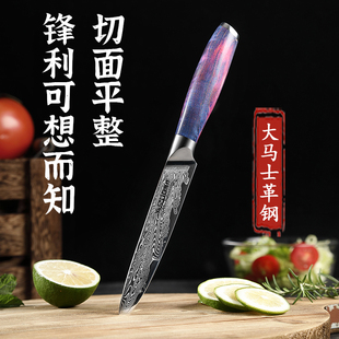 速发大革士马水果西高档用刀刀式餐刀牛扒刀家用小刀瓜果刀削皮刀