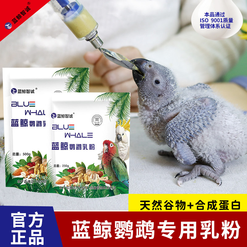速发蓝鲸三代鹦鹉虎皮牡丹玄风幼鸟零天手养营养食物乳粉饲料雏鸟