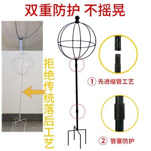速发蓝月糖爬藤支架蓝雪花棒棒花花支架球形铁线莲雪季造型花架爬