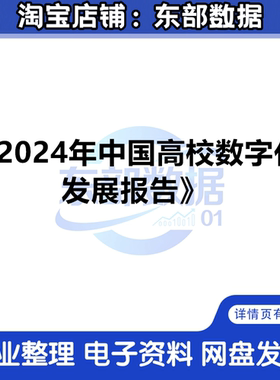 教育部：2024年中国高校数字化发展报告