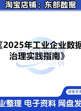 国际数据治理协会：2025工业企业数据治理实践指南 秒发