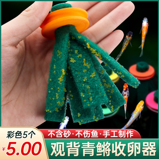 观背青鳉鱼卵收卵器漂浮挂卵神器专用鱼卵收集取卵器多颜色纯手工