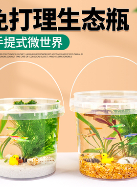 手提生态瓶DIY活体学校小鱼塑料摆件微景观淡冷水真观赏鱼虾水草