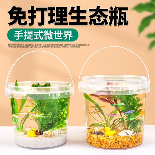 初中生物生态瓶diy材料自循环