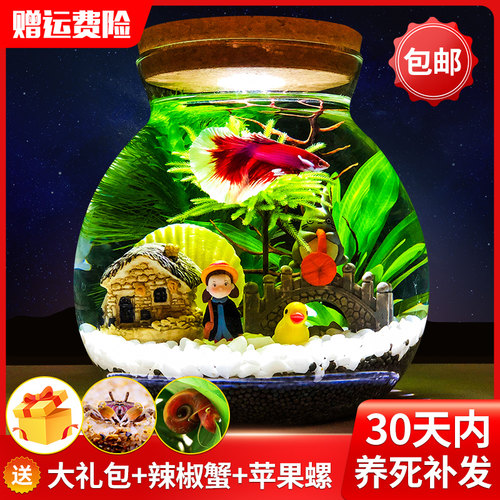 生态瓶水族箱斗鱼缸焘渔