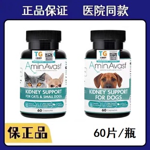 美国AminAvast胺肾猫咪小型犬进口肾宠物衰促进健康停肾脏功能肌