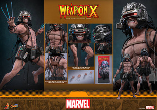 HOTTOYS HT 1/6 CMS034 漫威漫画 X武器 罗根 金刚狼