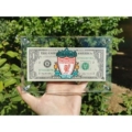 Style 3 Liverpool