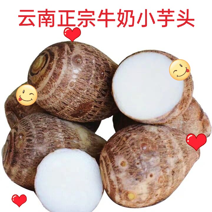 牛奶芋头云南高原种植软糯香甜【新鲜现挖】毛芋头小芋头孕妇可食