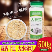 3规格 干碎蒜 绿之源大蒜粒500g 蒜头碎 16目约 蒜片碎 调味
