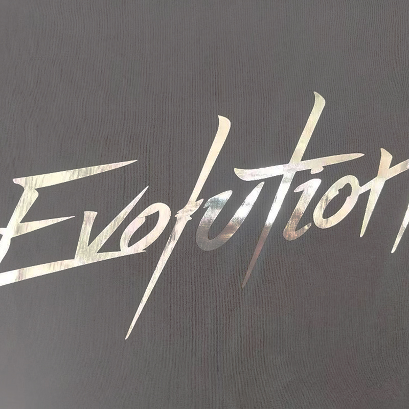 谢霆锋2025进化演唱会英文同款软金属亮面银热转印衣服烫画贴现货