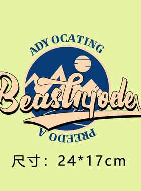 简约字母热转印衣服印花辅料贴柯式过粉胶印图案T恤卫衣雪山烫画