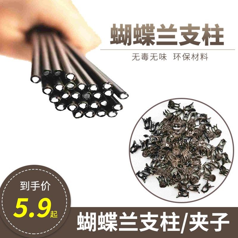 速发蝴铁兰支架园艺植物蝶柱花卉固定专用夹子支撑杆