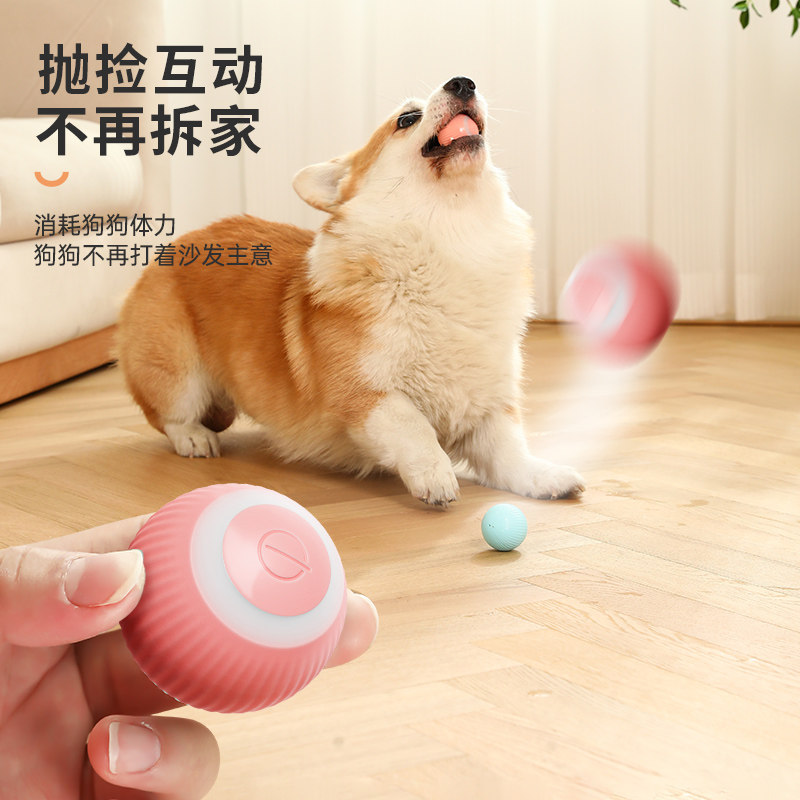 速发玩具球自嗨解闷电动逗狗神器智能耐咬泰迪博美比熊小狗球