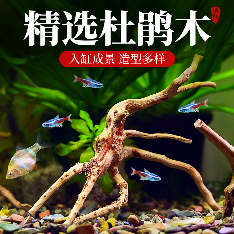 速发爬宠造景木杜鹃树爬守宫蜥蜴攀根躲避树枝爬装沙漠缸虫饰摆件
