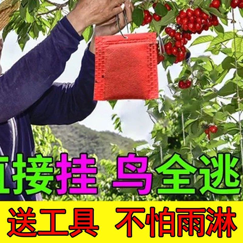 速发驱鸟剂驱鸟药防麻雀赶小鸟药包玉米果园去鸟灵粒精颗包香驱鸟,鲜花速递/花卉仿真/绿植园艺,其它园艺用品,淘宝优惠券,粉丝福利购,淘宝优惠卷