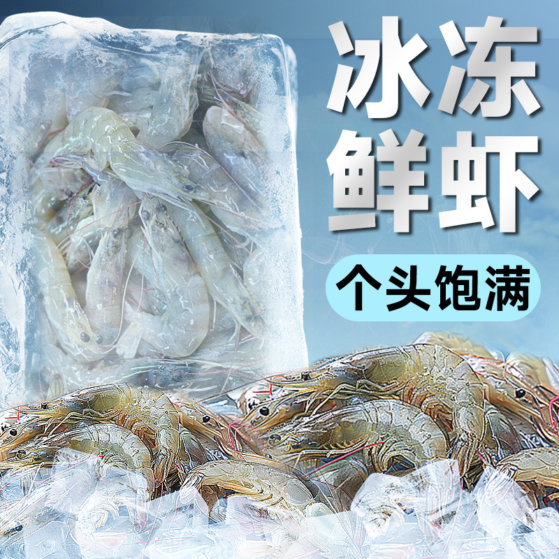 速发冷冻罗虾龙鱼饲料龟龙鱼蝴蝶鲤乌雷鲜汉鱼专用喂鱼河冰冻鱼食