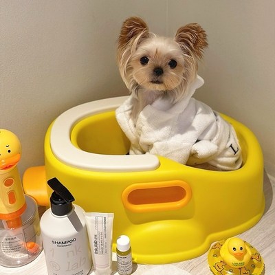 速发洗澡盆洗澡工具猫咪专用浴盆泡澡桶小型犬药浴桶澡神洗器