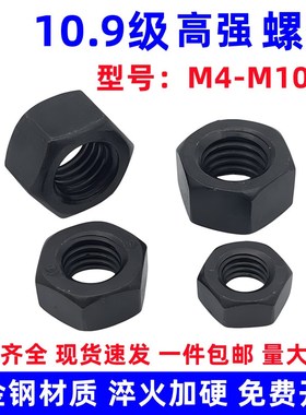 速发10.级高强度螺母 螺帽螺1帽M6M8M40M12M丝4M16M20M21M27M0-M1