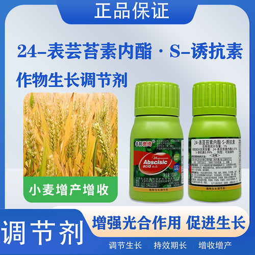 汉邦S-诱抗素24-表芸苔素内酯