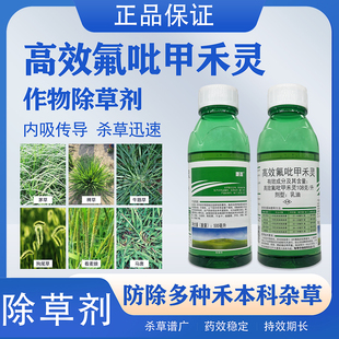 重盖高效氟吡甲禾灵田埂游草除草剂牛筋草尖叶草葱姜蒜除草灭茬药