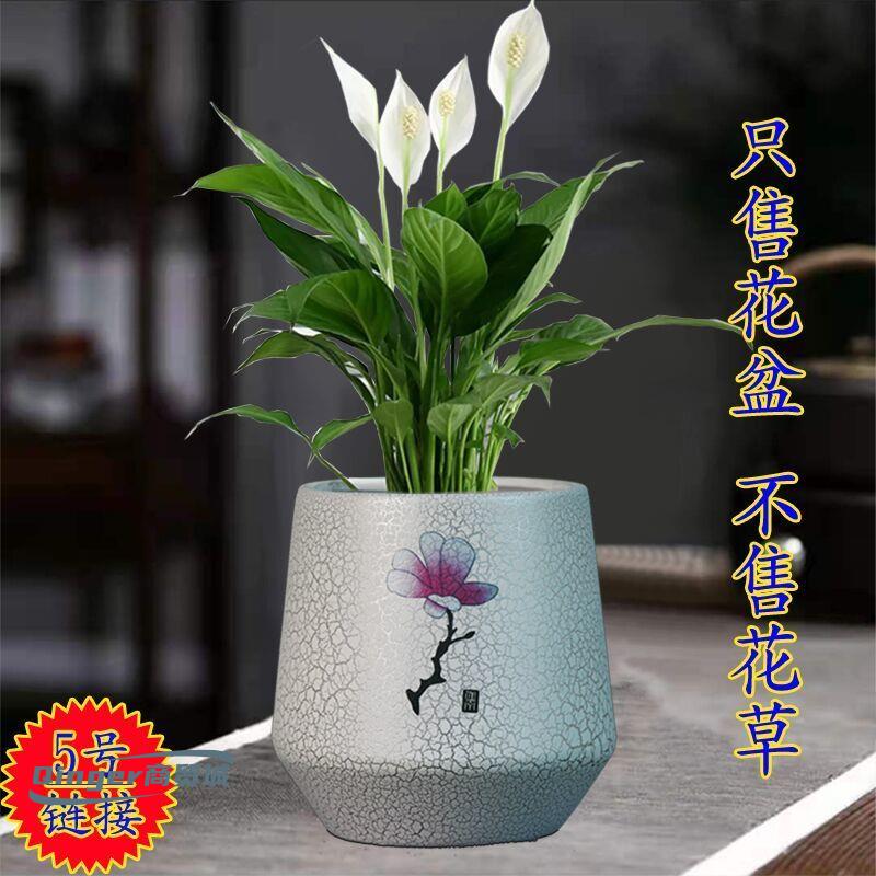 速发花盆大号清仓新你迷方款形白色小花盆多肉盆瓷盆红掌盆栽花盆