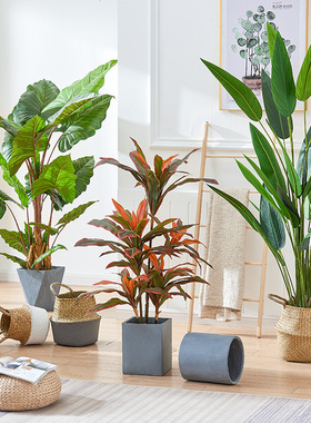 速发客物风绿植客厅装饰摆件造视植厅电景柜旁边落地假树