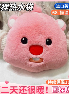 小海狸露比lopy热水袋充电式新年礼物防爆可爱暖水袋暖宝宝毛绒